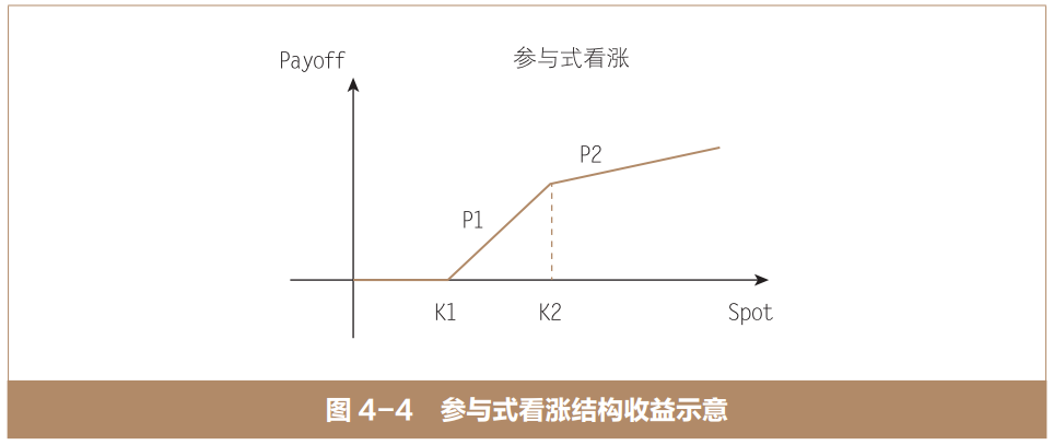 香草期权及其组合:参与式看涨结构